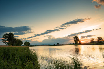 Silhouette tree at sunset in lake.