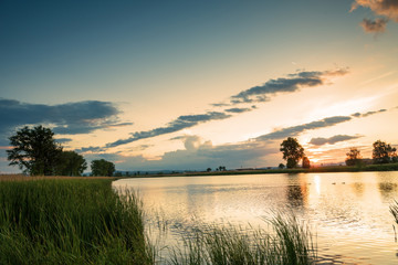 Fototapeta na wymiar Silhouette tree at sunset in lake.
