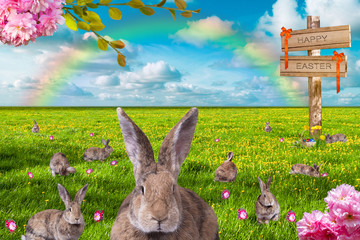 Osterhase auf einer grünen Wiese. Eier.