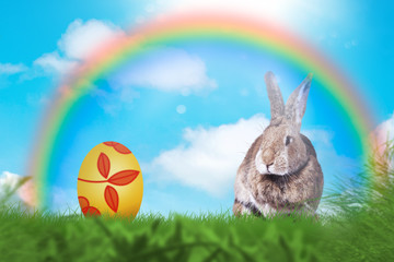 Osterhase auf einer grünen Wiese. Ostern.