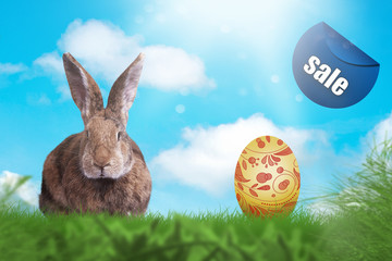 Osterhase auf einer grünen Wiese. Ostern.