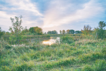 Evening or sunrise on a quiet forest lake