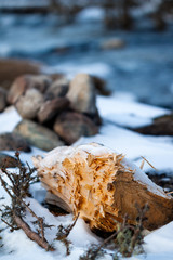Chopped wood log with stone camp fire place in the back and a river behind it, in Winter season. Outdoor survival in nature concept, up in the mountains, near a water stream.