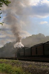 Fototapeta na wymiar Passing historical steam train