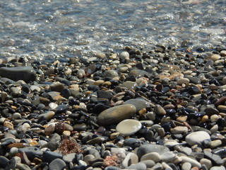 Sea pebbles