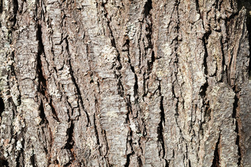 Texture de divers matériaux métal bois béton tissus couleur cuir papier abstrait	