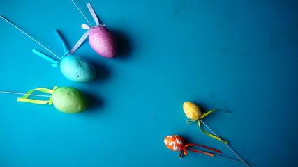 OLYMPUS DIGITAL CAMERA © Magorzata