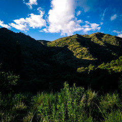 Sierra verde
