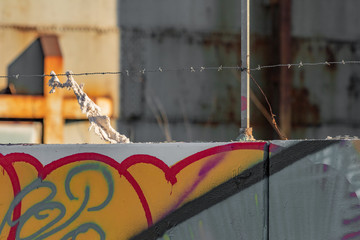 War and political refugees concept. Barbed wire fence detail, torn clothing strips from escape route. European and American closure, closed borders. African, Mexican and middle eastern migration flux.