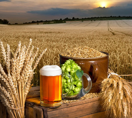 Beer glass and raw material for beer production.
