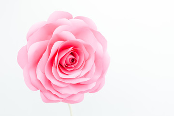 Fototapeta premium decorative rose bud on a white background
