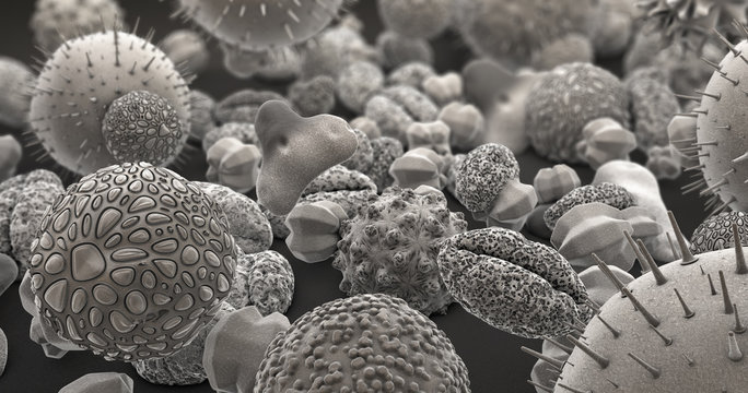 3d illustration of many different pollen bodies in black and white