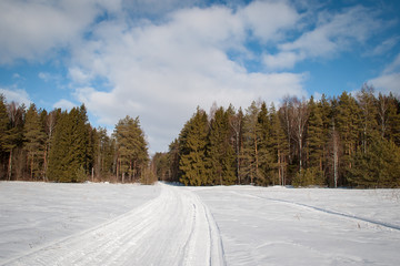 Obraz premium Wild nature of midle Russia. Lot of snow, sun and winter