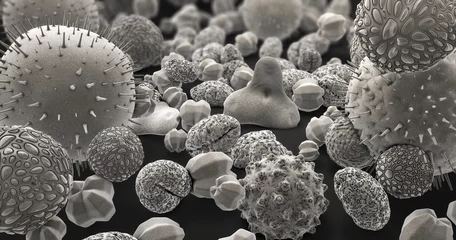Fotobehang 3d illustration of many different pollen bodies in black and white © Christoph Burgstedt