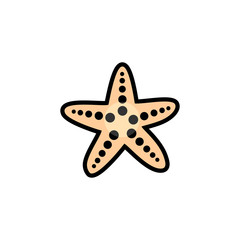 Obraz premium Starfish vector icon