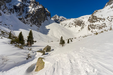 Mala Studena dolina in the winter. Tatra Mountains. Slovakia. © Jacek Jacobi