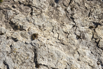 Fels als Hintergrund