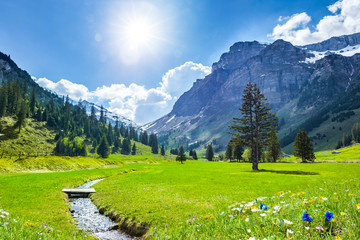 Beautiful Swiss Landscape in Springtime
