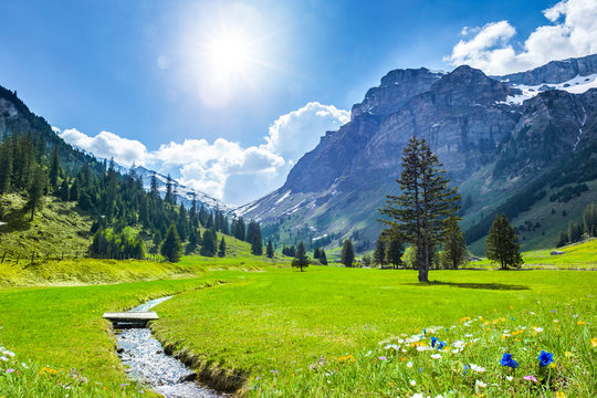 Beautiful Swiss Landscape in Springtime