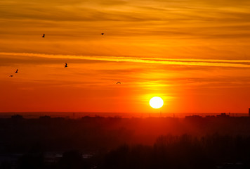Beautiful sunset with a sun and clouds 