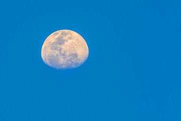 Half moon  with sky blue background in evening seen from Bangkok, Thailand, clipping path.