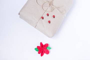Present decorated ladybugs and beautiful flower. Copy space. Place for text