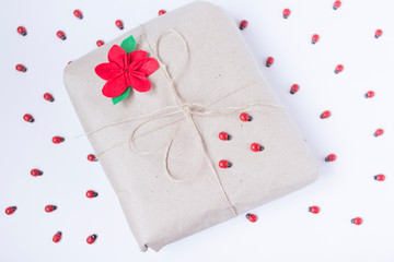 Present decorated ladybugs and beautiful flower