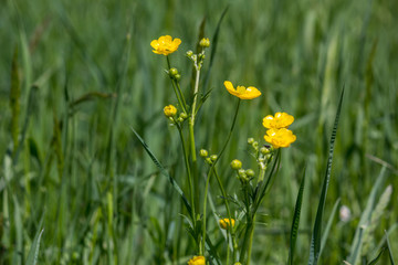 Bavaria, Germany	