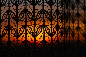 Wonderful vivid dawn from window through patterned curtain. Amazing warm sky behind silhouettes of tulle texture. Orange sunlight. Cosiness textured colorful background with sunrise. Copy space.