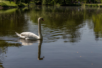 Saint-Germain-en-Laye, France
