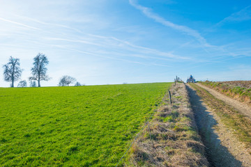 Fototapeta na wymiar Path in a rural hilly landscape with trees below a blue sky in sunlight in winter