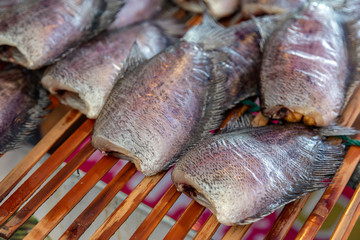 preservation nile fish with dried with sunbath process