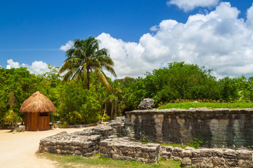 Fototapeta na wymiar Ancient ruins in the jungle of Yucatan, Mexico