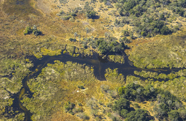 In the Okavango Delta