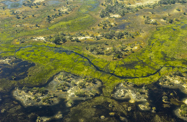 Okavango Delta Flood Plain