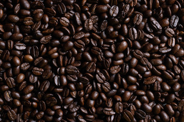 Coffee beans freshly roasted