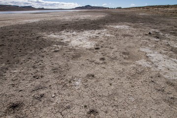  Close-up of the desert soil of the Argentine steppe on a sunny day with some hills in the background, image taken in the vicinity of Ing. Jacobacci, Argentine Patagonia