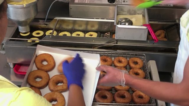 Woman Puts Fresh Made Donuts in a Box