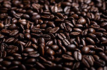 Coffee beans freshly roasted