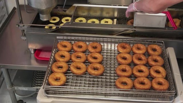 Donuts in the Making at a Bakery