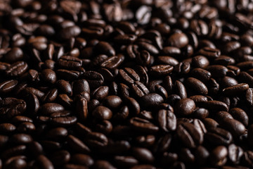 Coffee beans freshly roasted