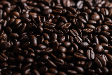 Coffee beans freshly roasted