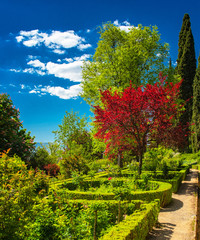 Wonderful gardens in Cordoba, Spain