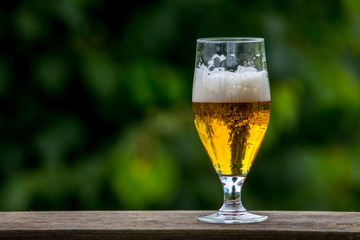 Glass of beer on green nature background.