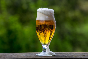 Glass of beer on green nature background.