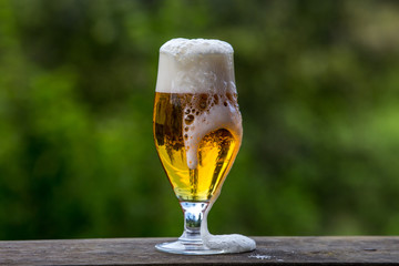 Glass of beer on green nature background.