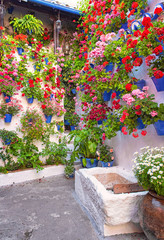 Fototapeta na wymiar Nice patio with flowers and pond in Cordoba, Spain