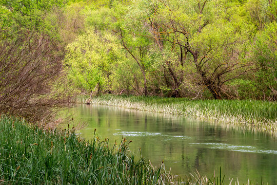 Zlatna Panega River spring view at Iskar-Panega Eco-path Geopark, the first geopark in Bulgaria