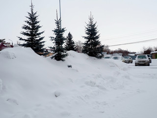 Fototapeta premium winter