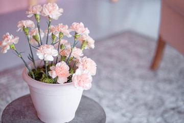 vase with pink flowers on the table
